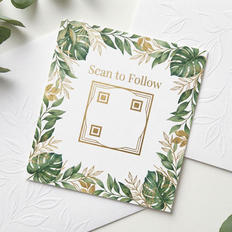 蘑菇视频公众号